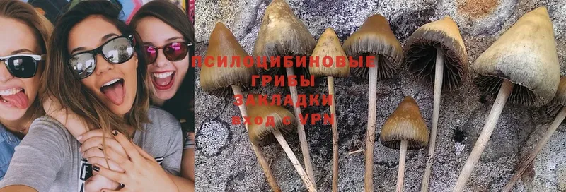 Галлюциногенные грибы Magic Shrooms  Елабуга 